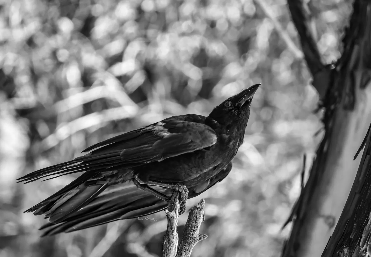 DSC_1725.JPG