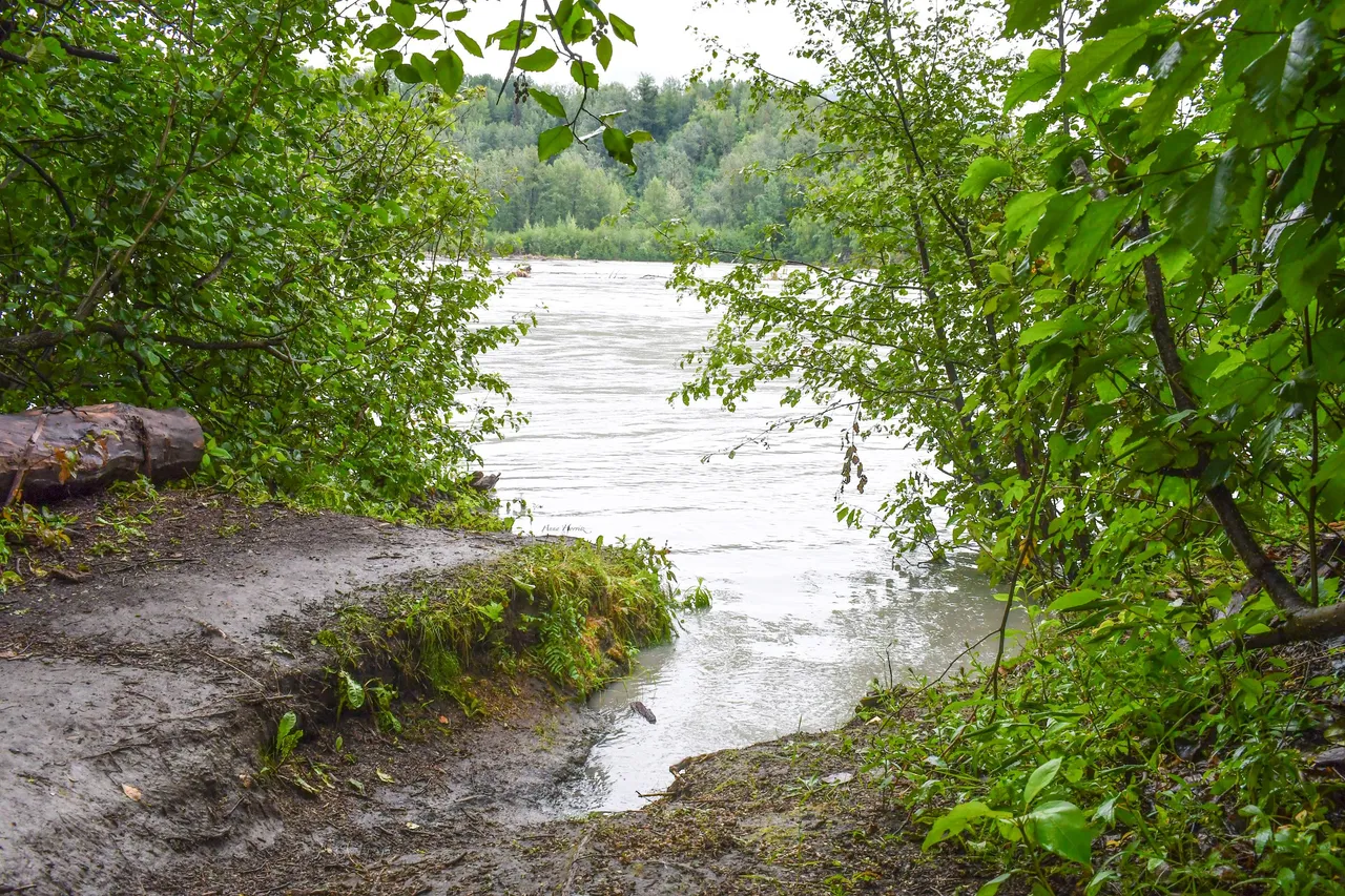 DSC_3979.JPG