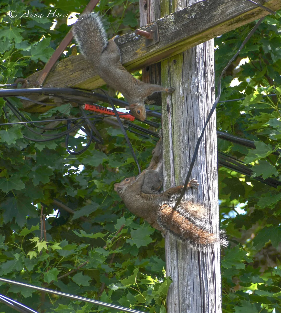 DSC_1944 1.JPG