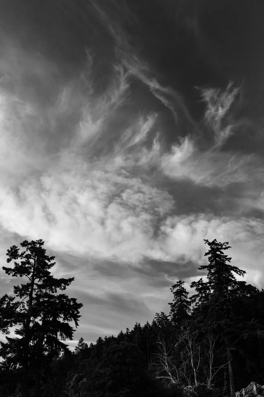 DSC_1168.JPG