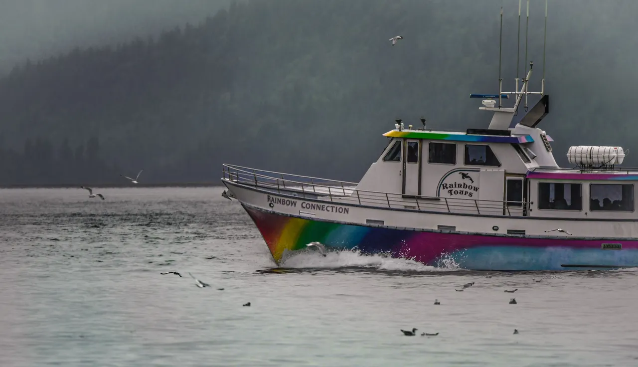 DSC_4242.JPG