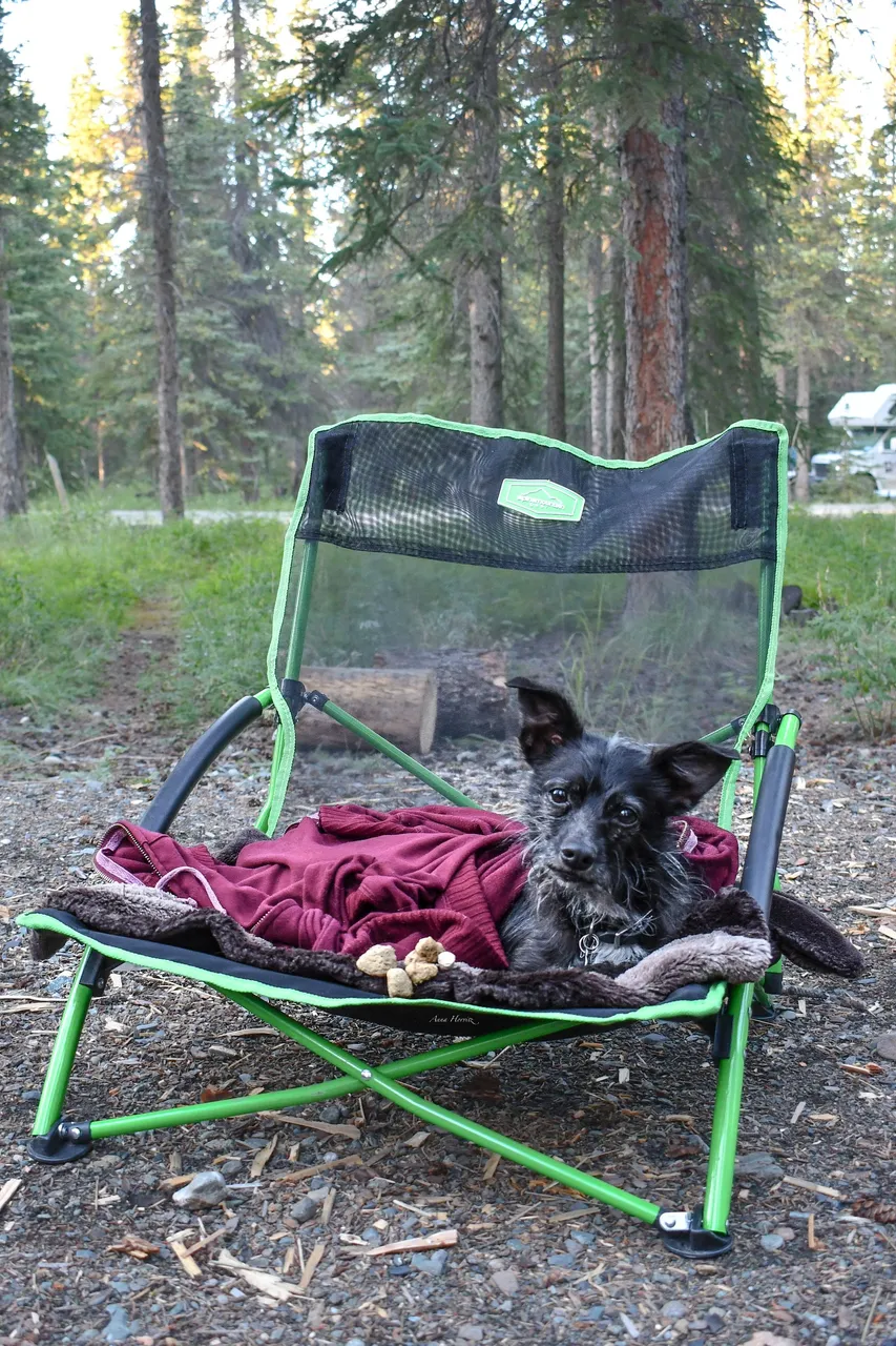 DSC_2785.JPG