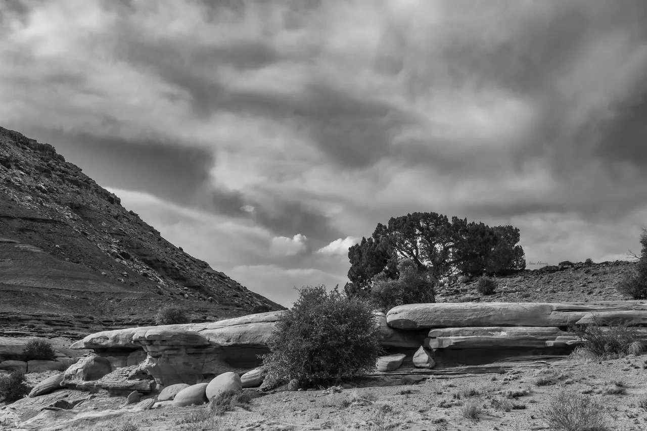 DSC_0211.JPG