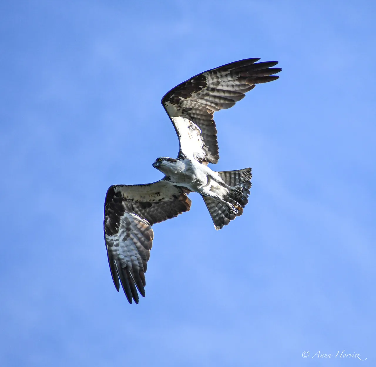 DSC_8643.JPG