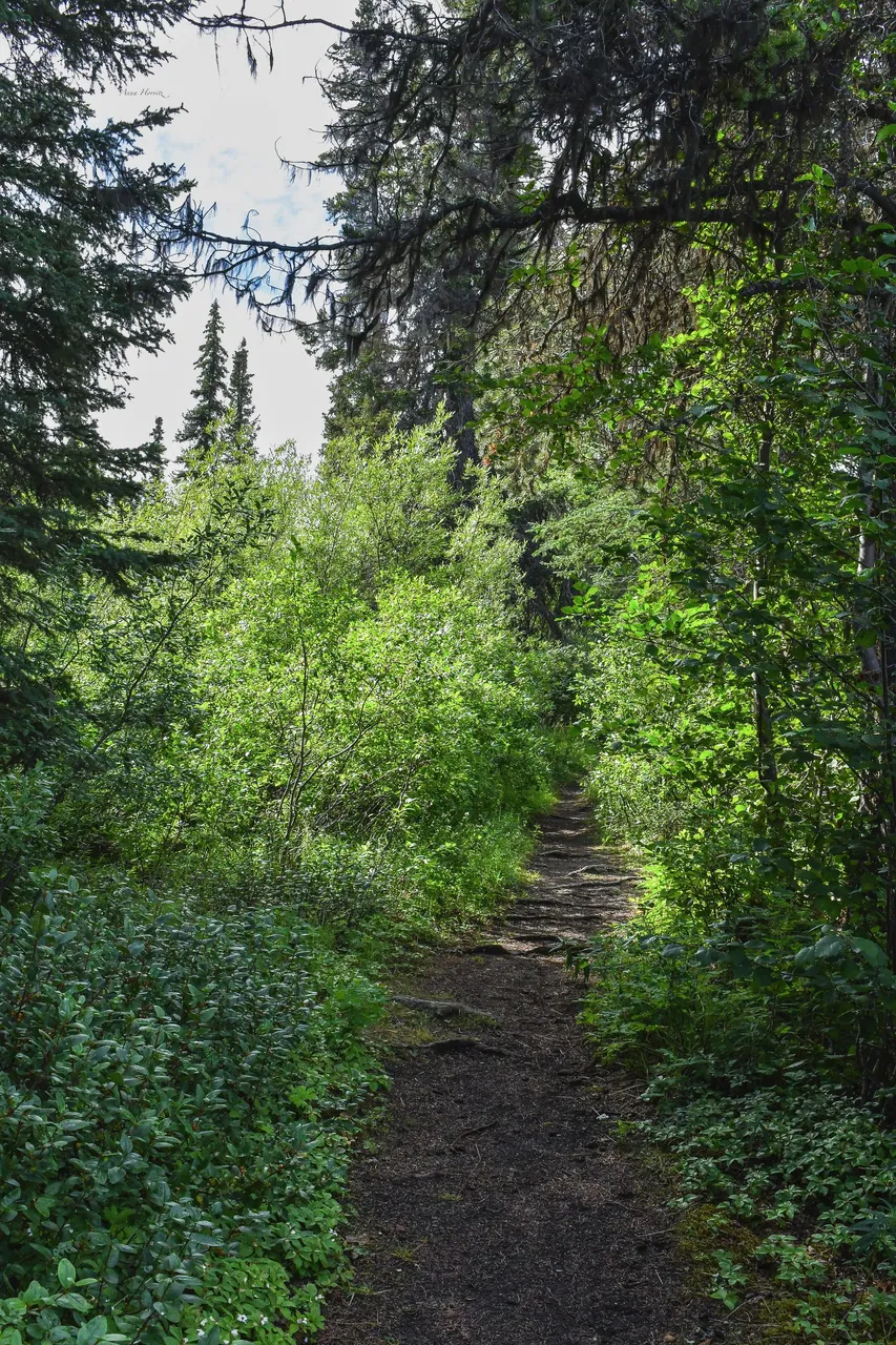 DSC_2484.JPG