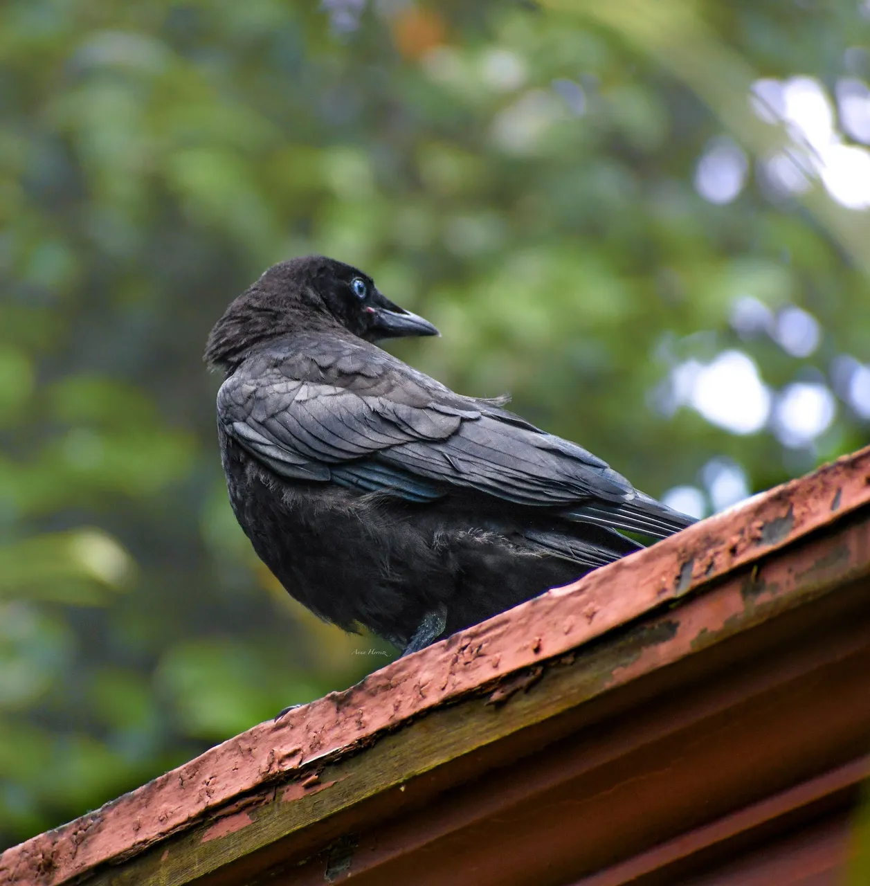 DSC_1391.JPG