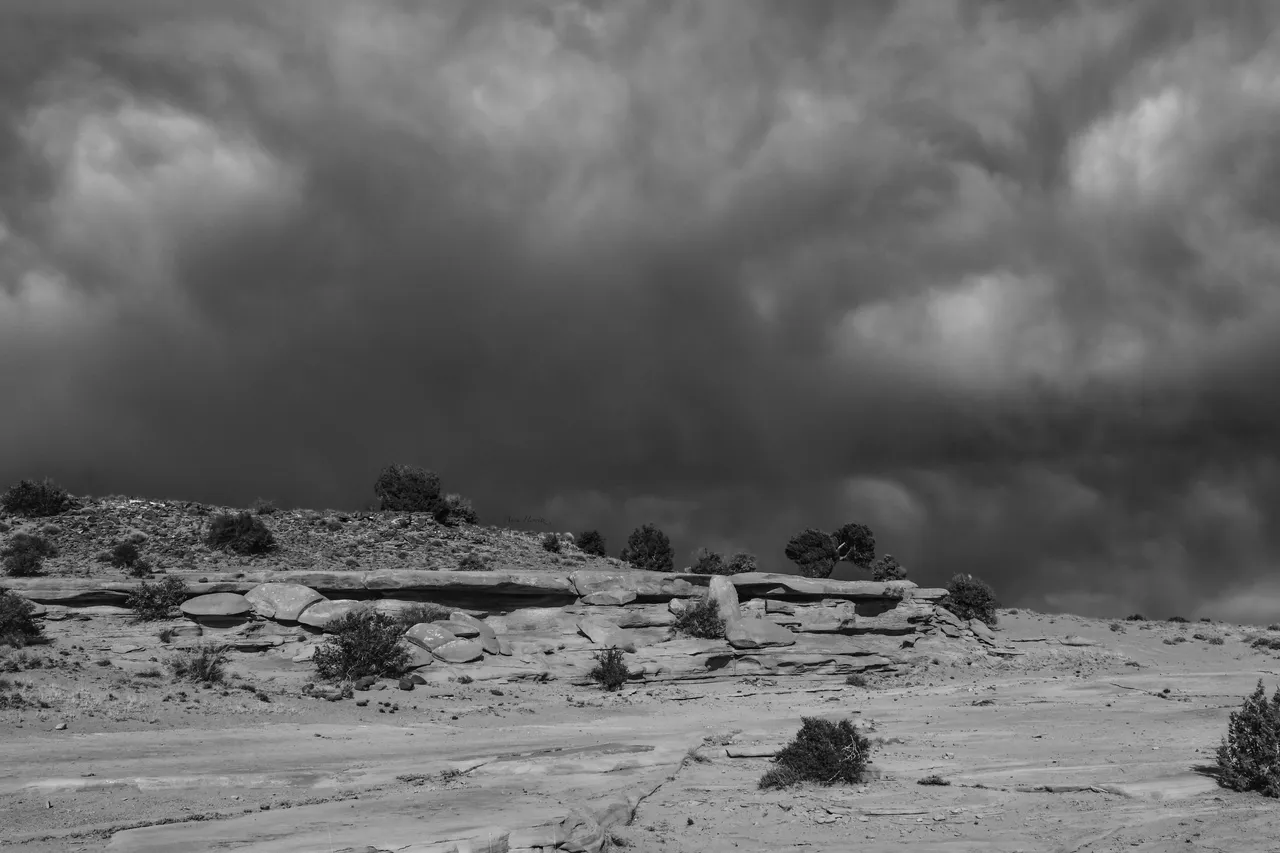DSC_0214.JPG