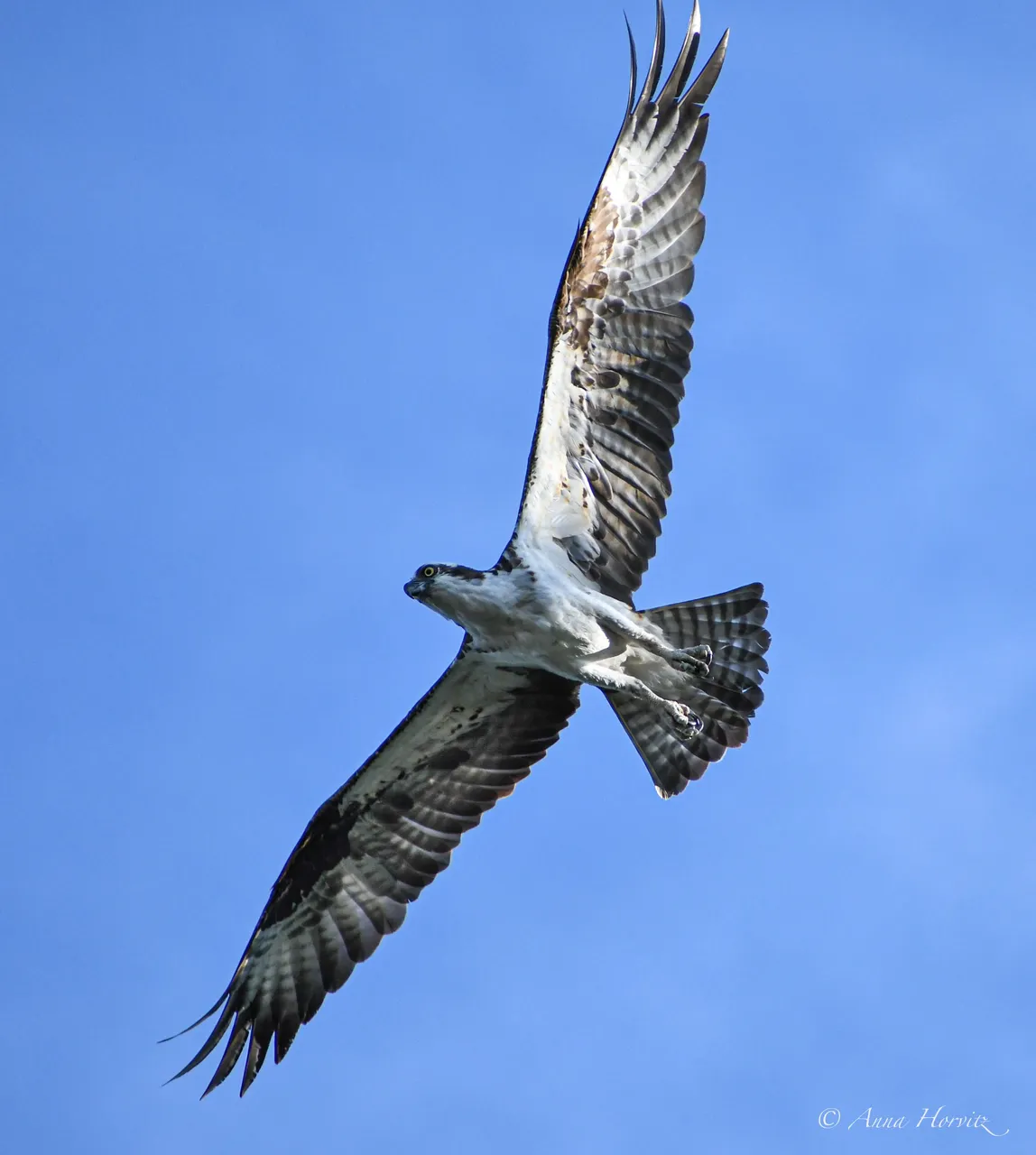 DSC_8644.JPG
