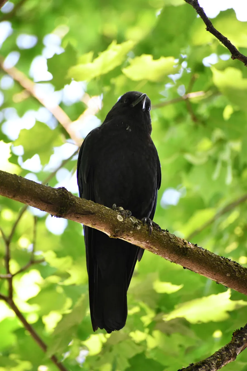 DSC_5877.jpg