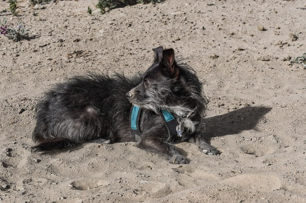 DSC_0206.JPG