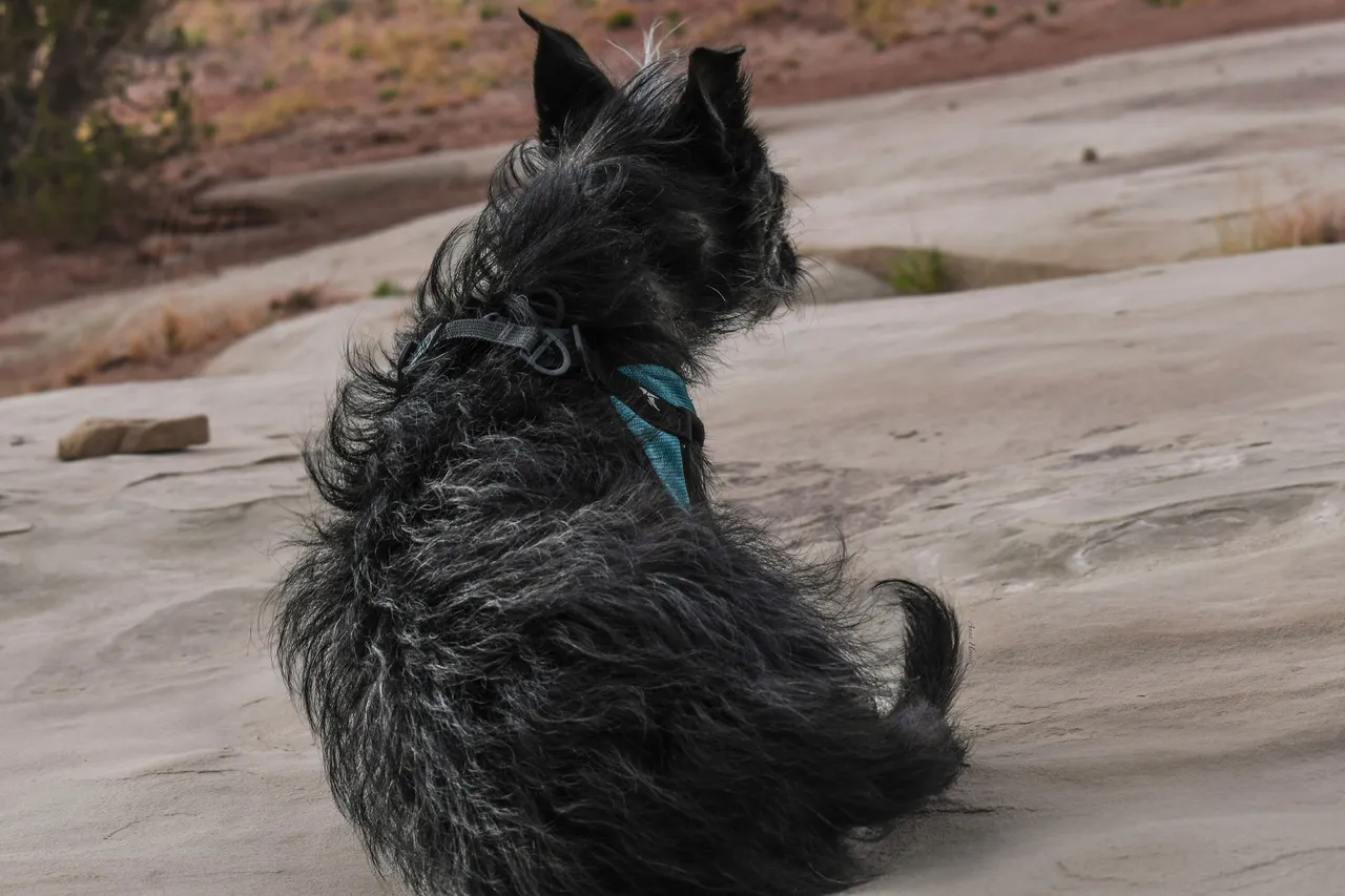 DSC_0235.JPG