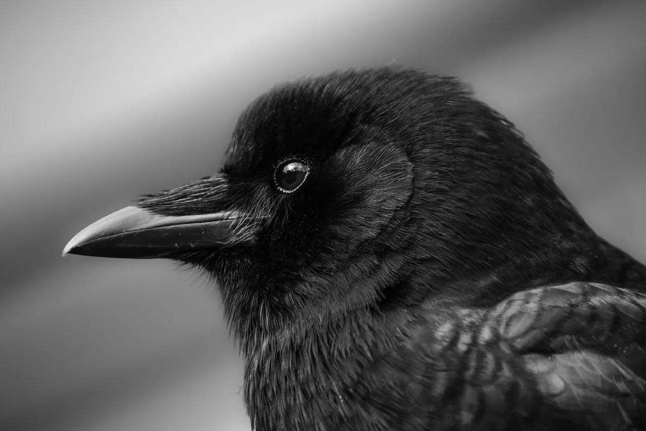 DSC_8621.JPG