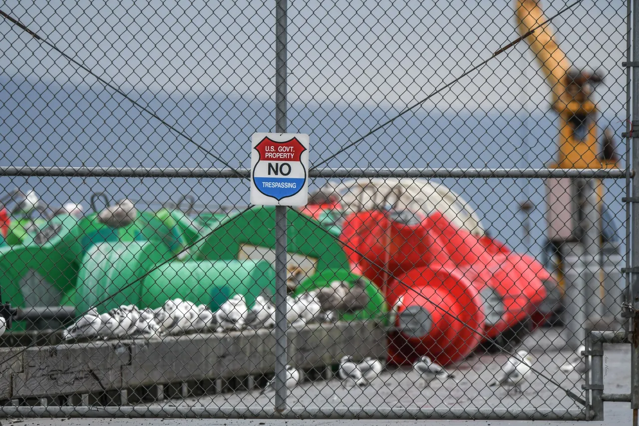 DSC_4435.JPG