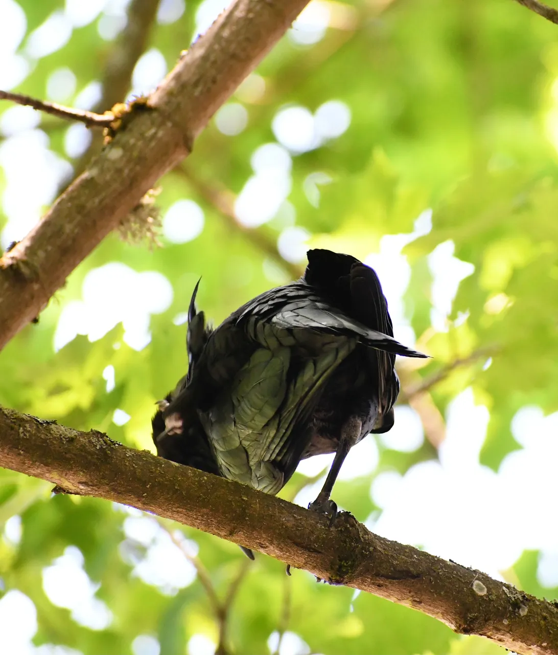 DSC_5881.jpg