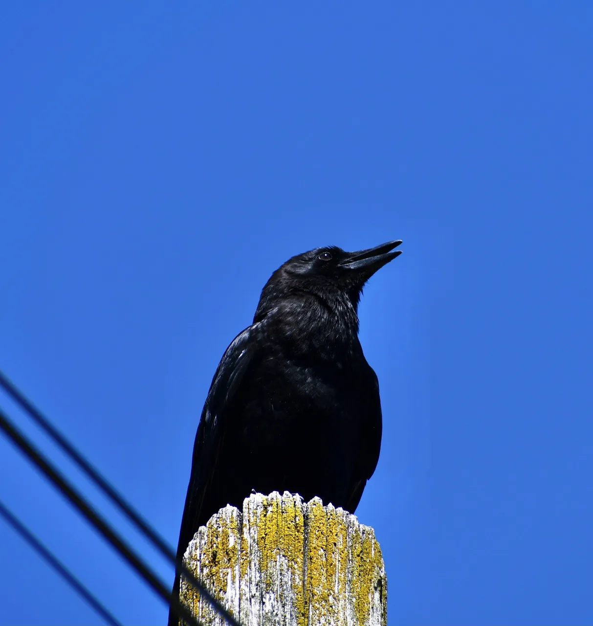 DSC_5903.jpg