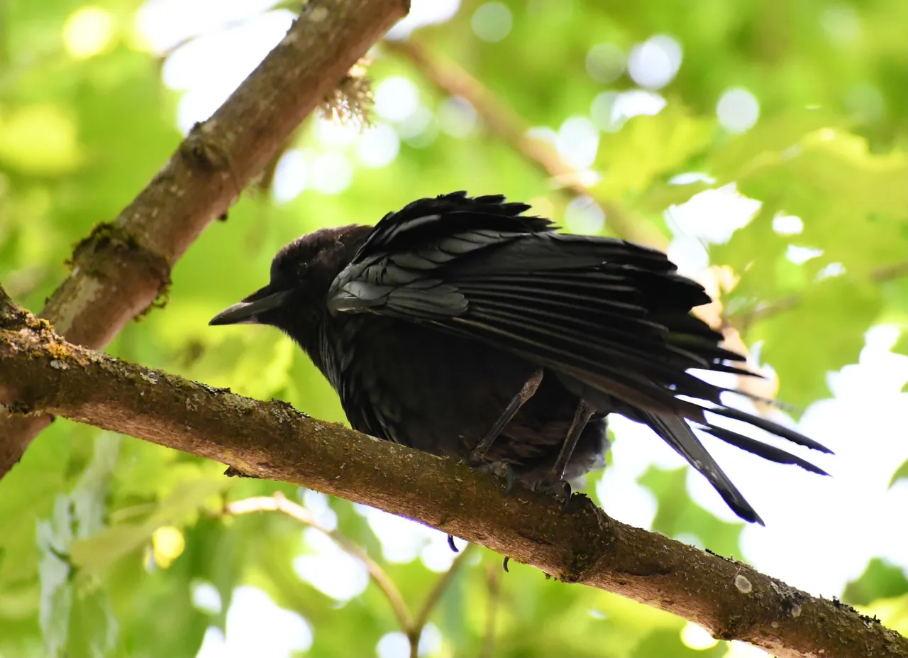 DSC_5883.jpg