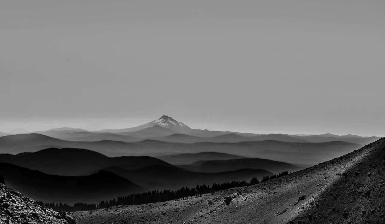DSC_6278.JPG