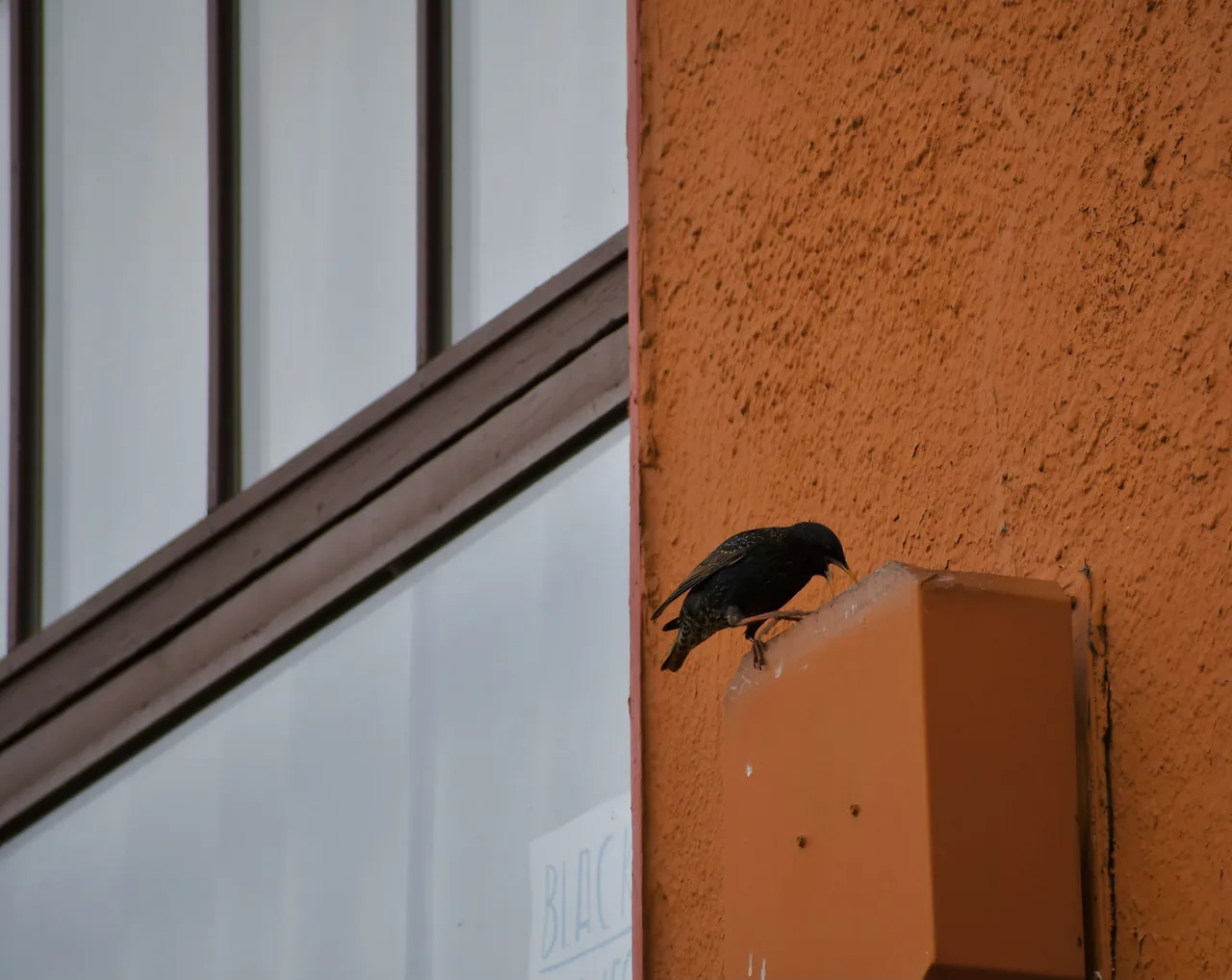 DSC_2669.jpg