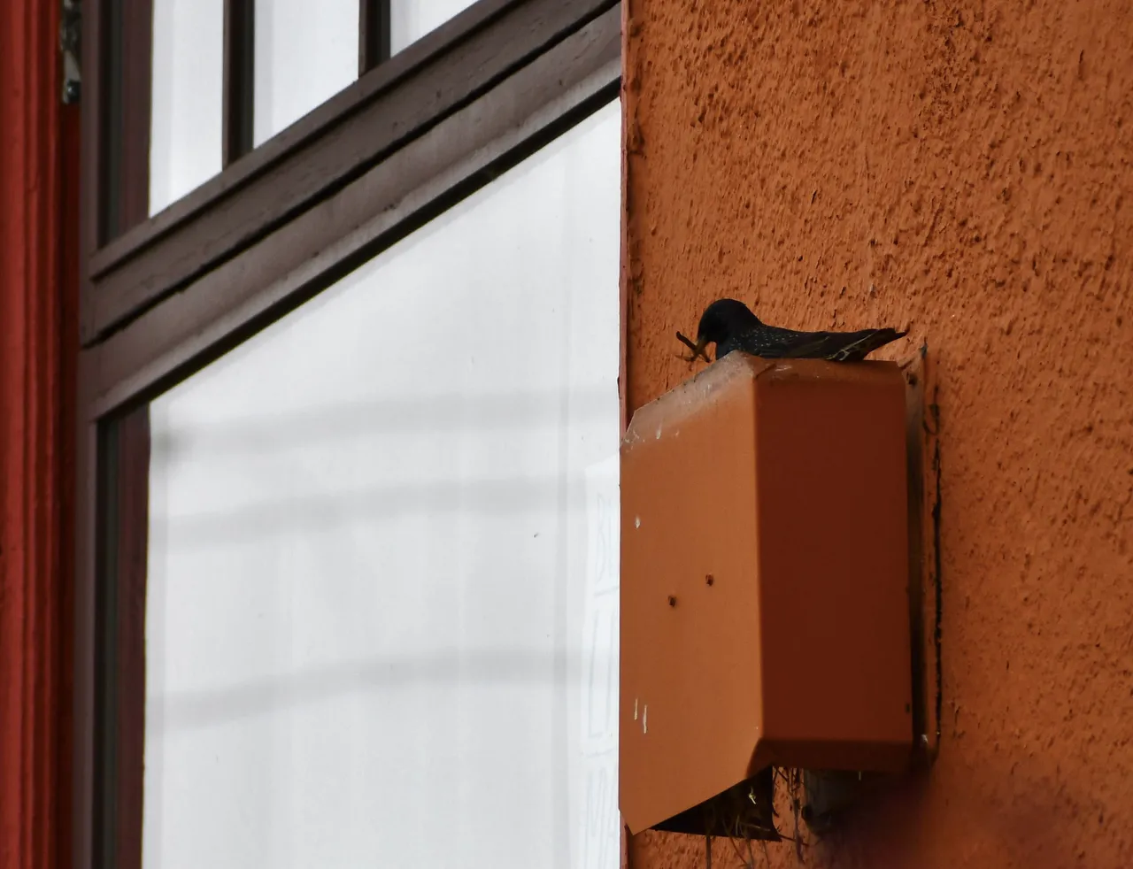 DSC_2458.jpg