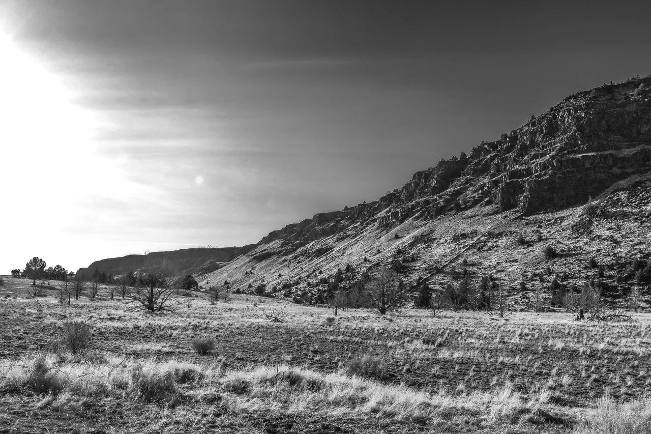 DSC_2603 1.JPG