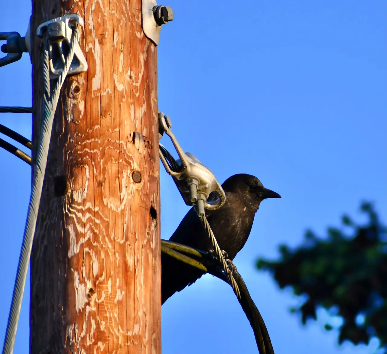 DSC_5975.jpg