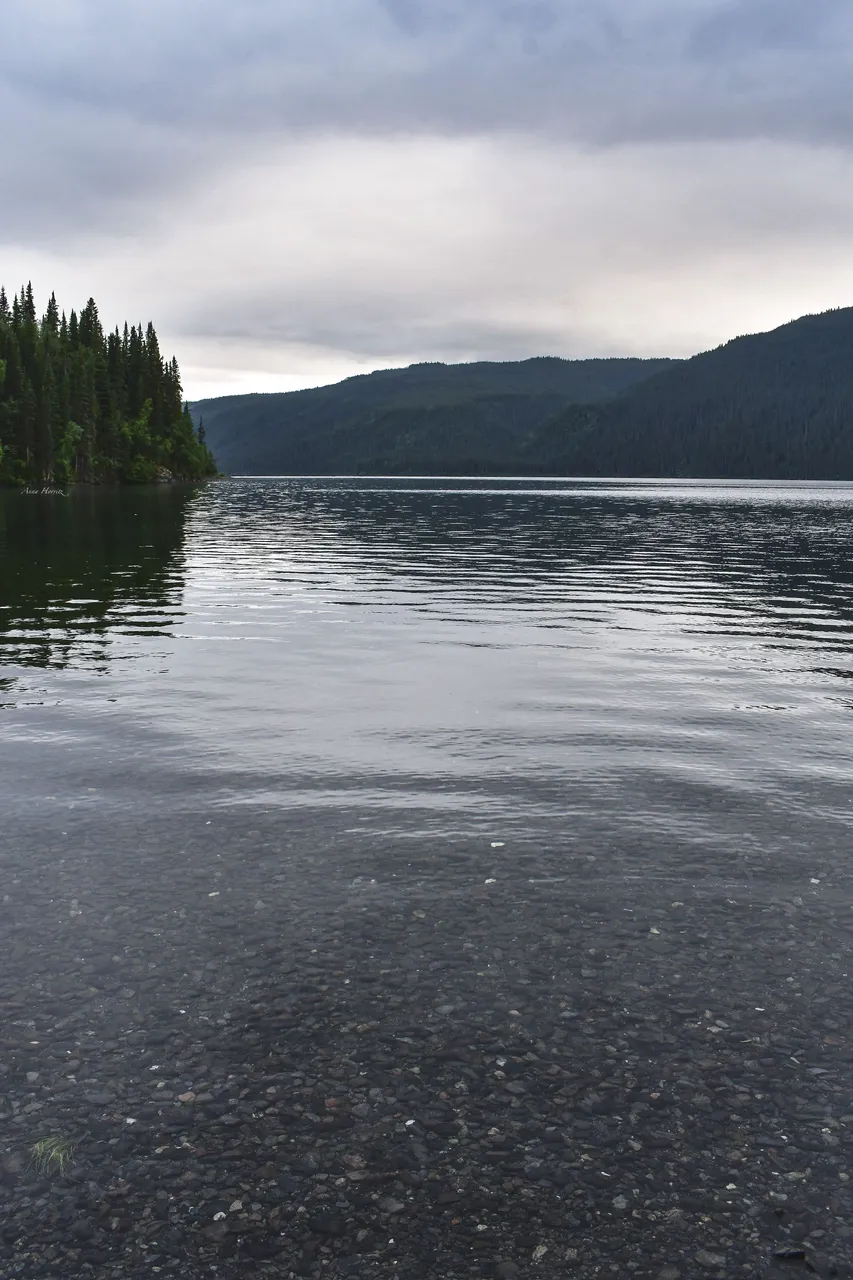DSC_2499.JPG