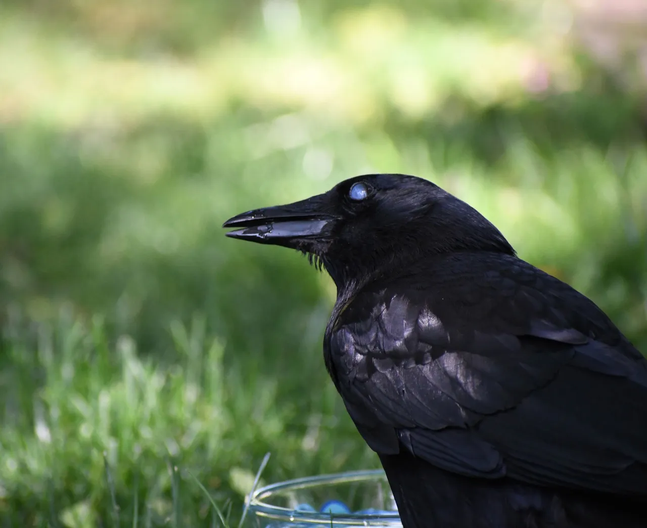 DSC_6106.jpg