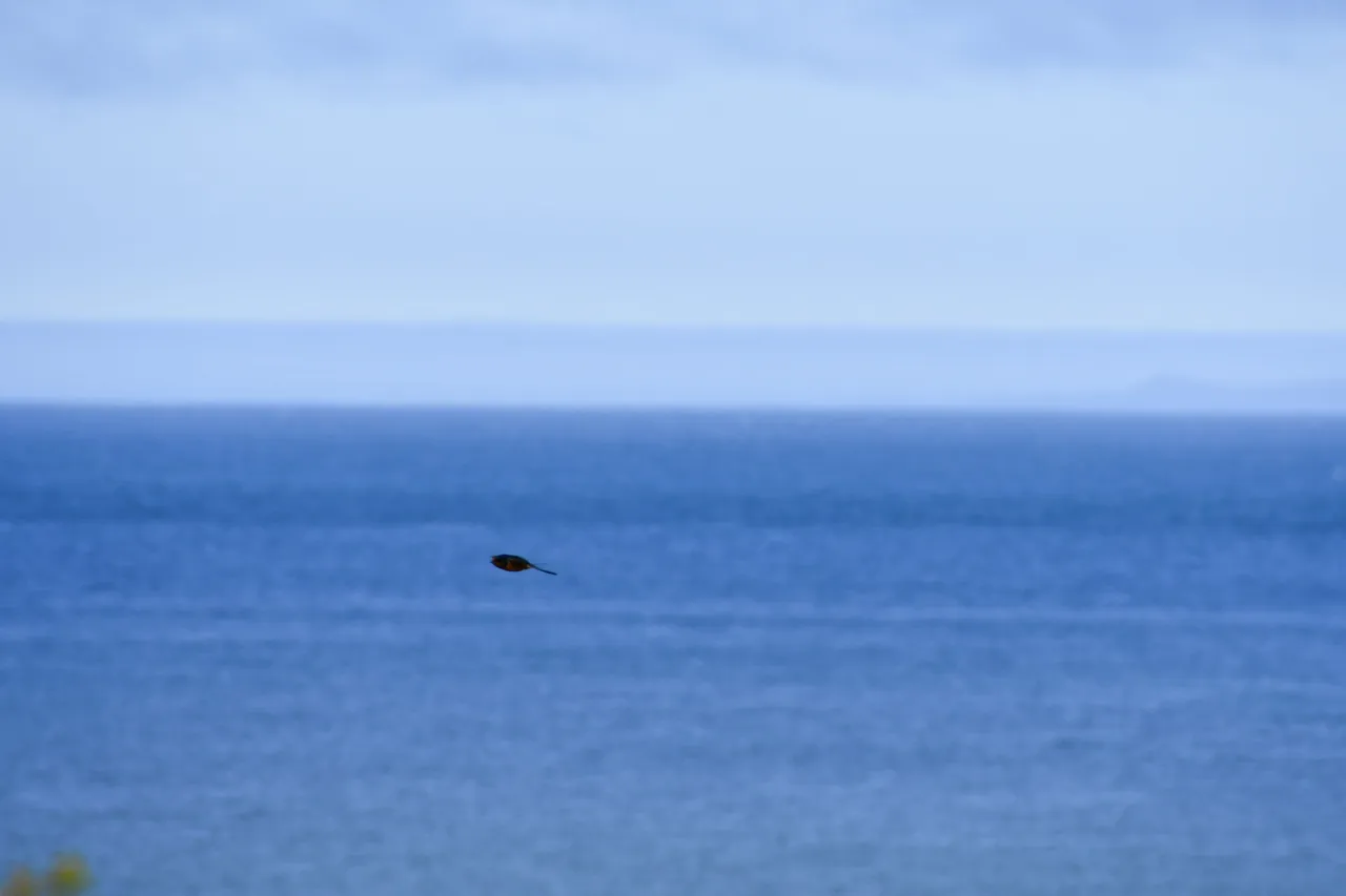DSC_8859.JPG