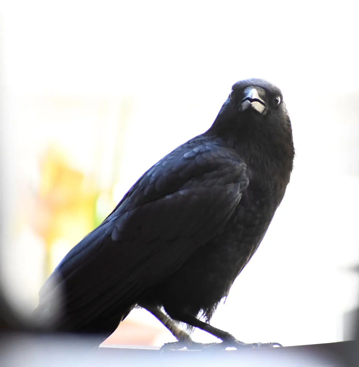 DSC_6042.jpg