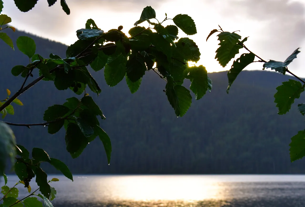 DSC_2504.JPG
