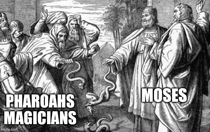 7w2jh9.jpg