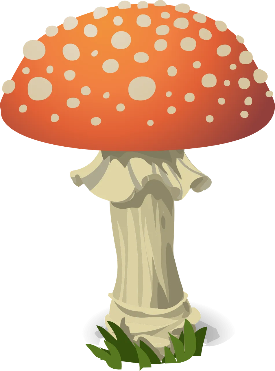 mushroom-576463.png
