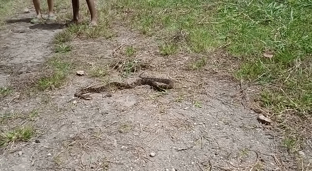 VID-20220403-WA0001_1.gif
