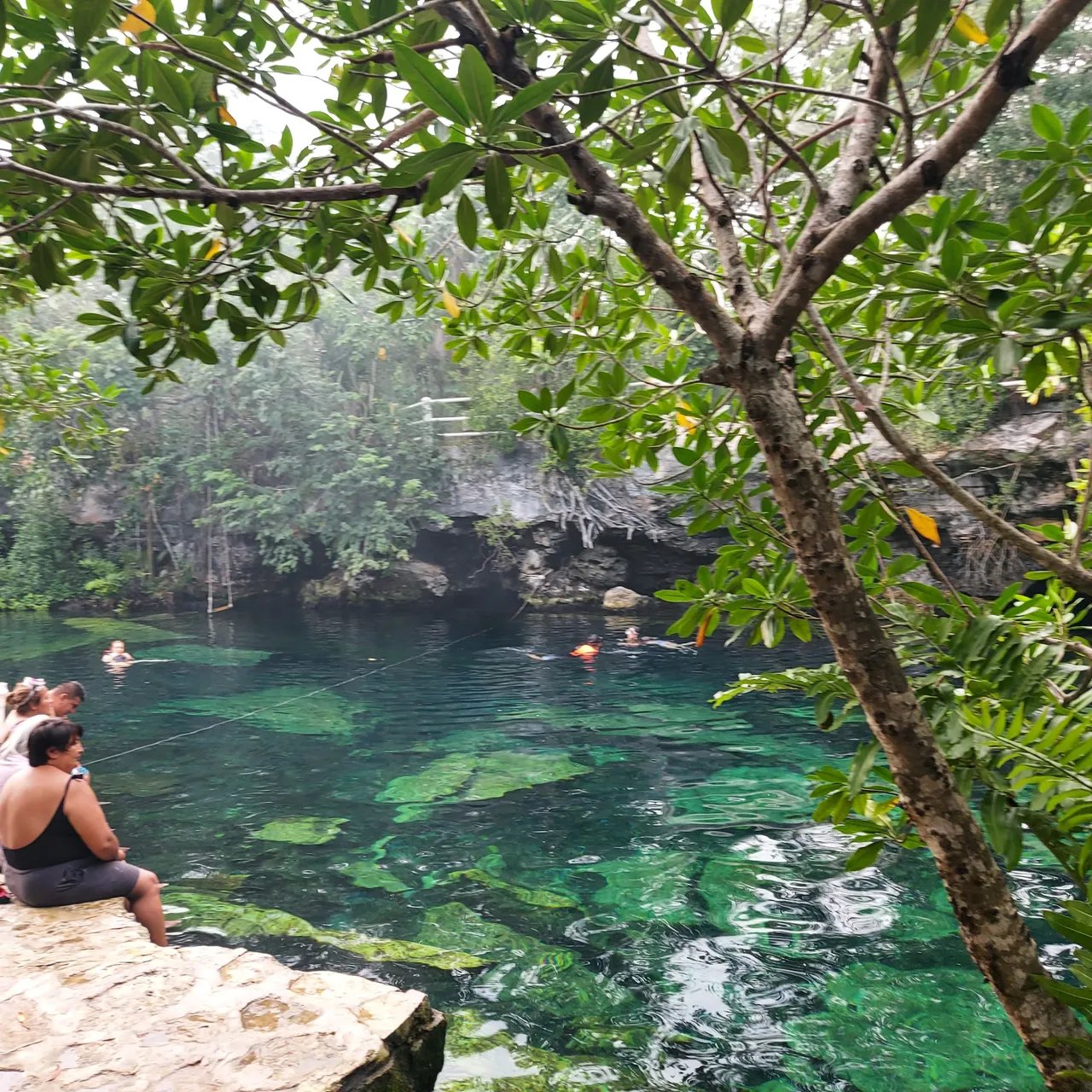 Cenote 1.jpg