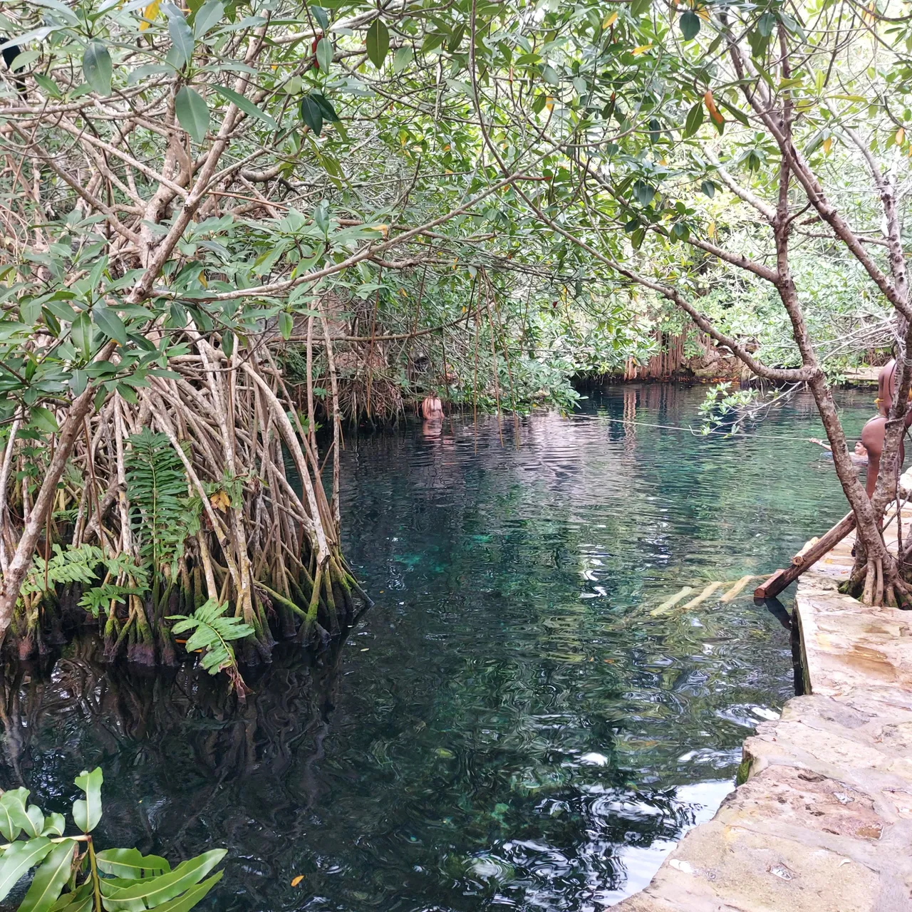 Cenote 3.jpg