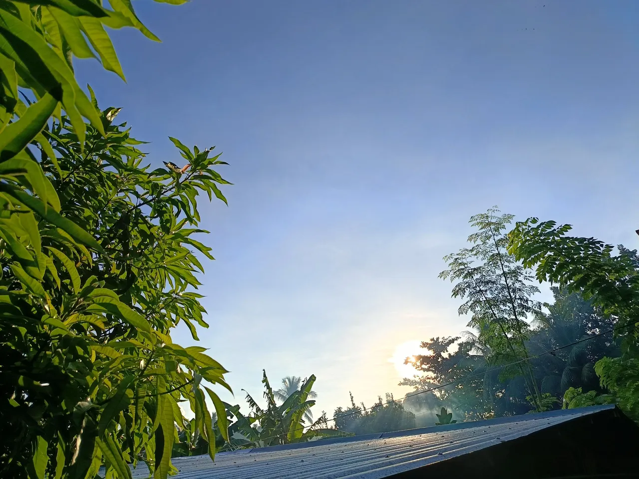1000010094.jpg