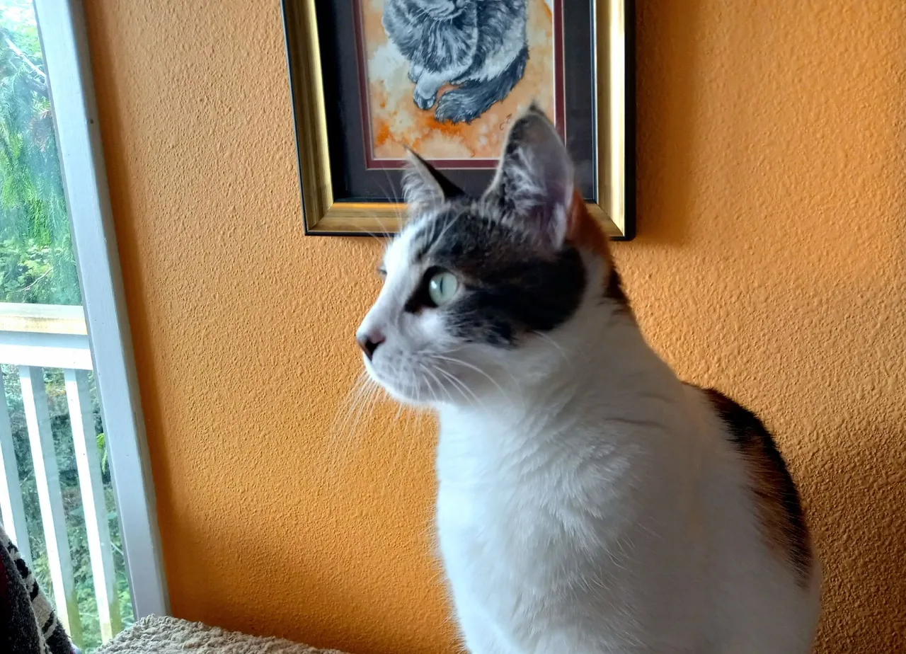 20250802_231713.jpg