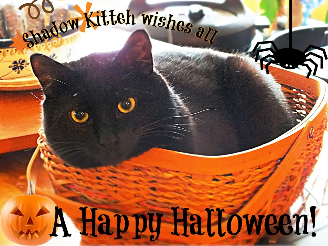 CC0040-Halloween.jpg