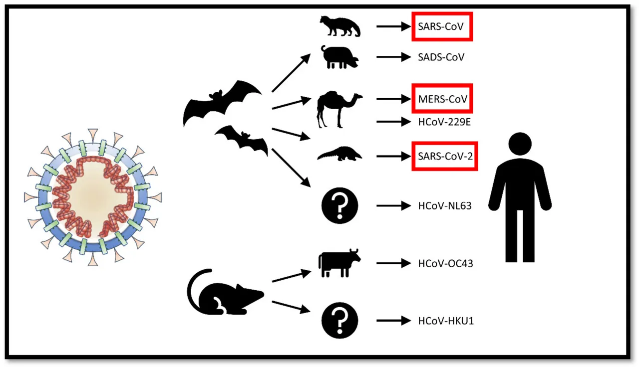 Pathogens-09-00231-g002.webp.png
