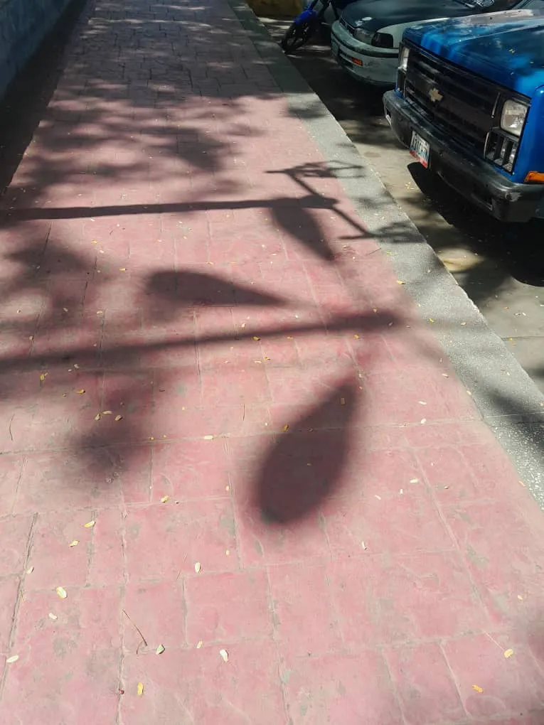 1001414212.jpg