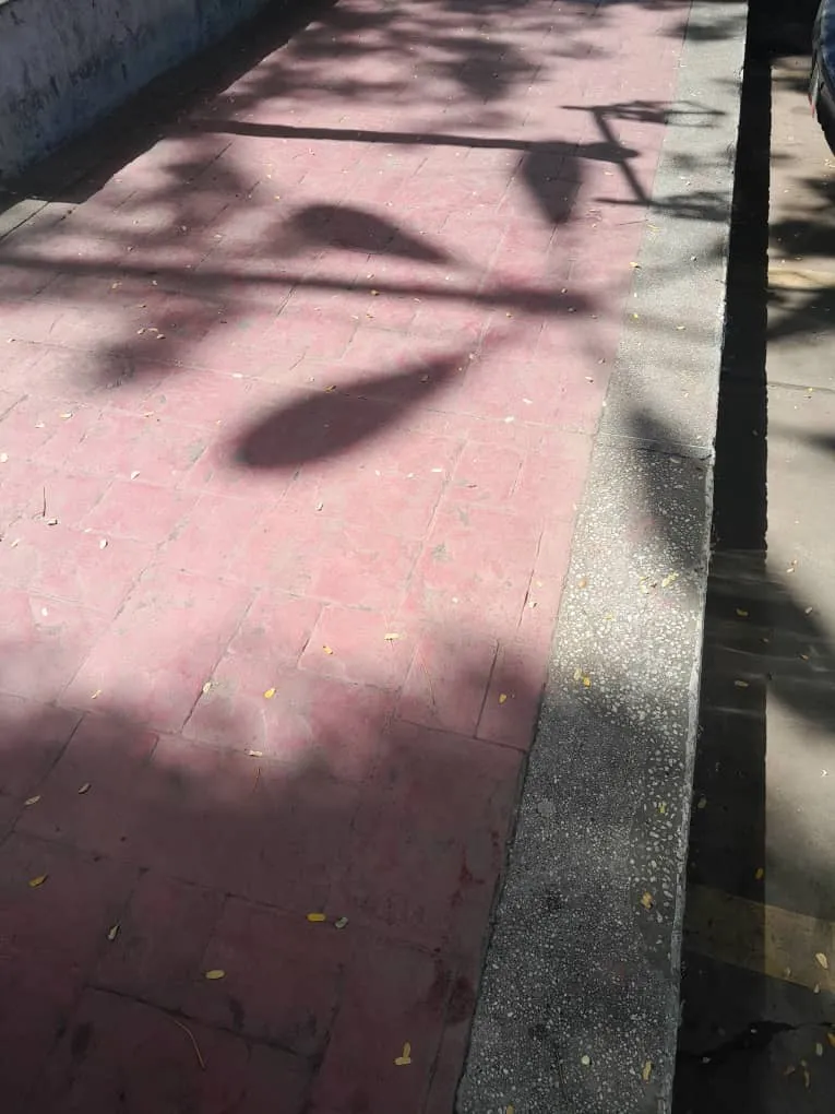 1001414211.jpg