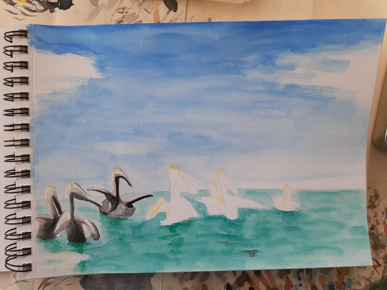pelicanos 4.jpg