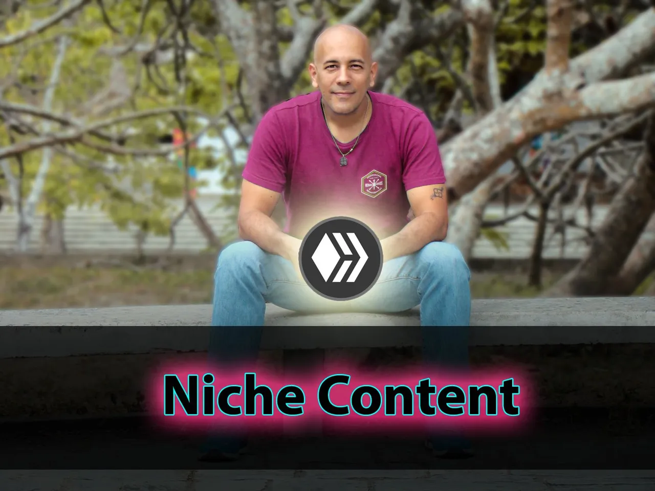 portada contenido de nicho.jpg