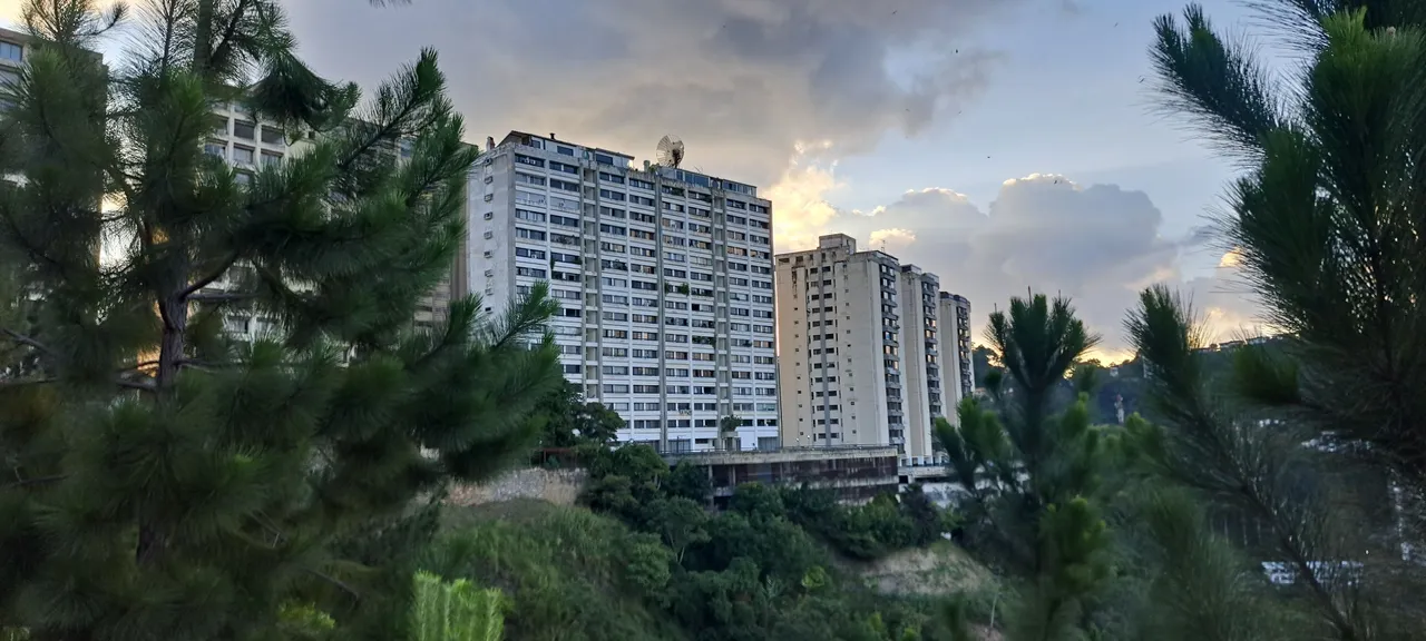 20250716_180010.jpg