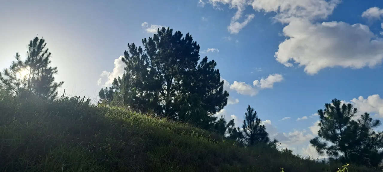 20250715_172110.jpg