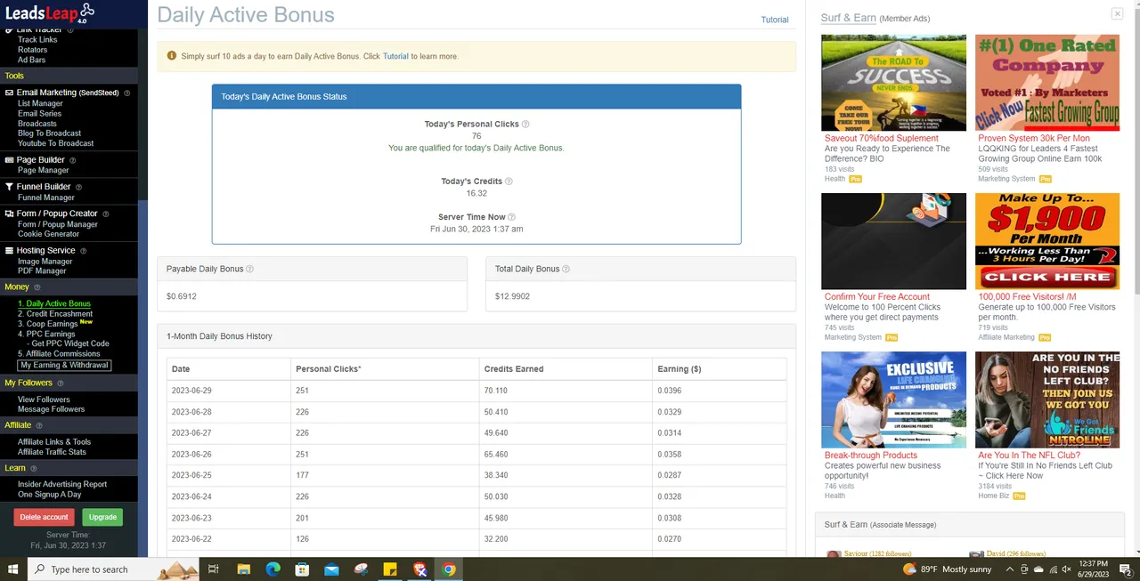 LeadsLeap Proof of Work.PNG