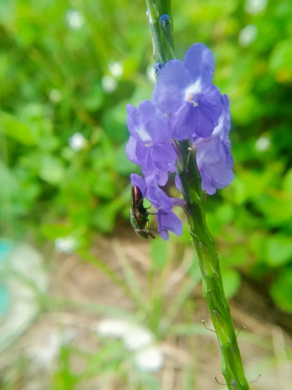 IMG20210908114202.jpg