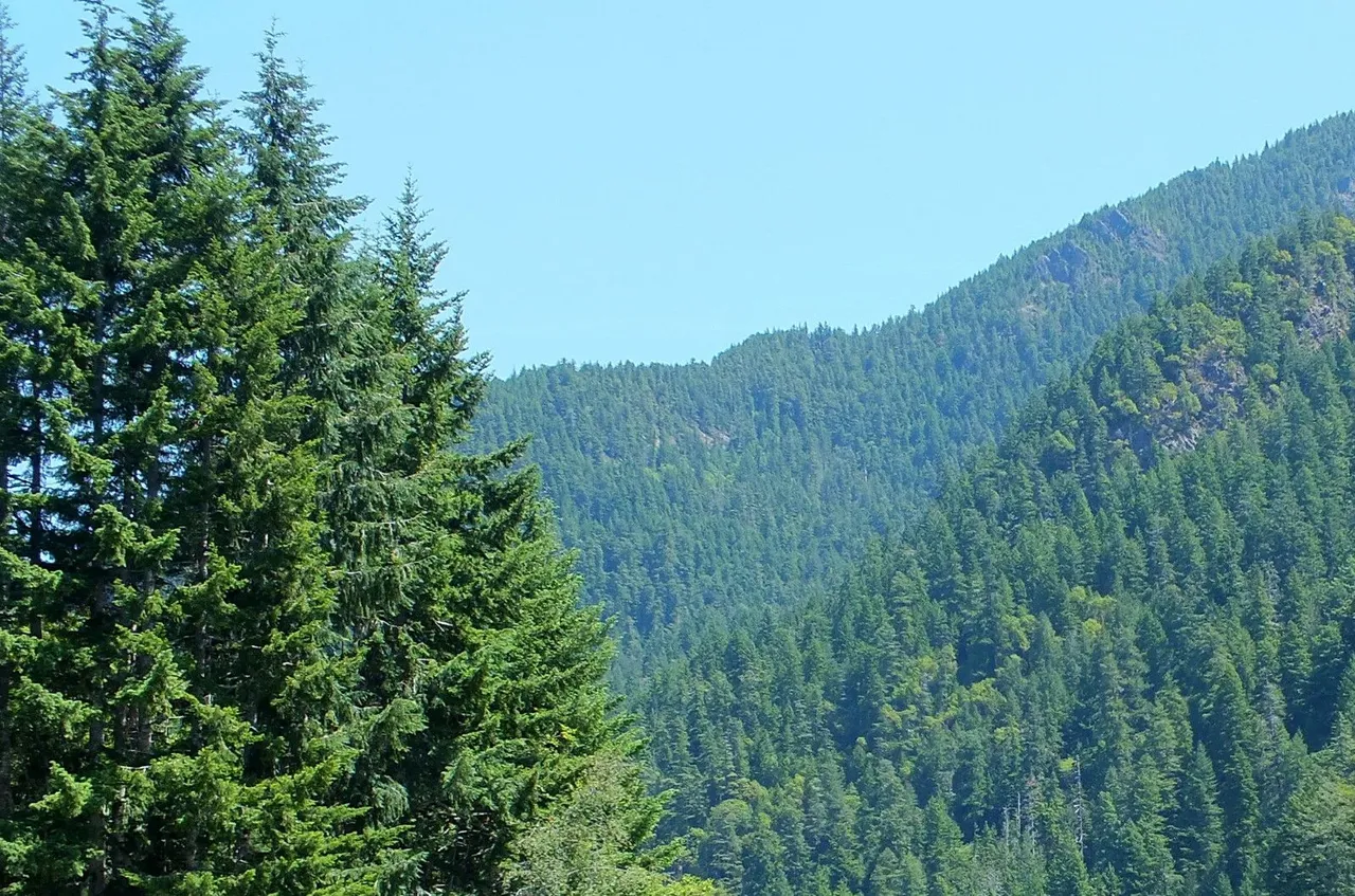 1123-Mountains.jpg