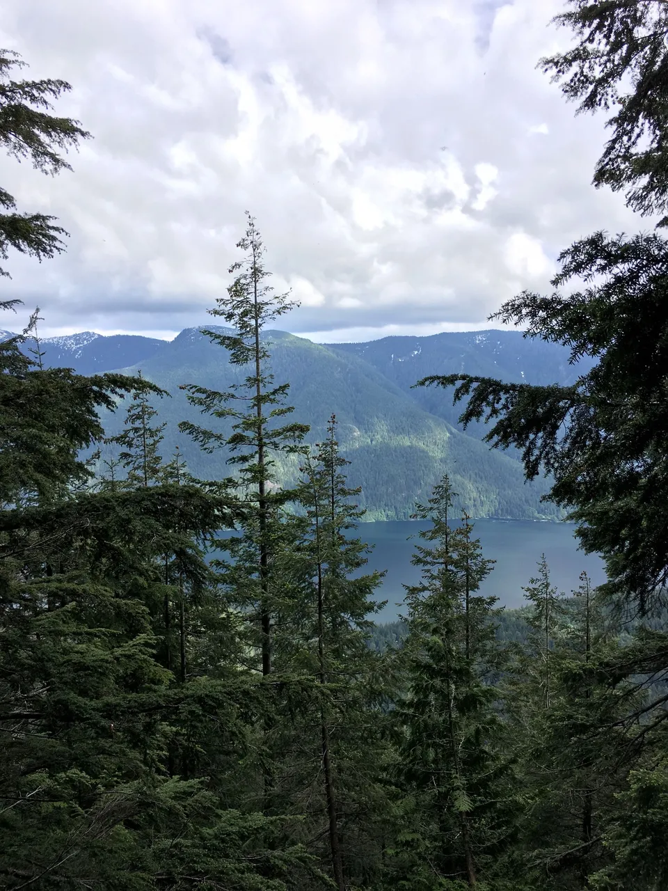maple ridge 4.jpg