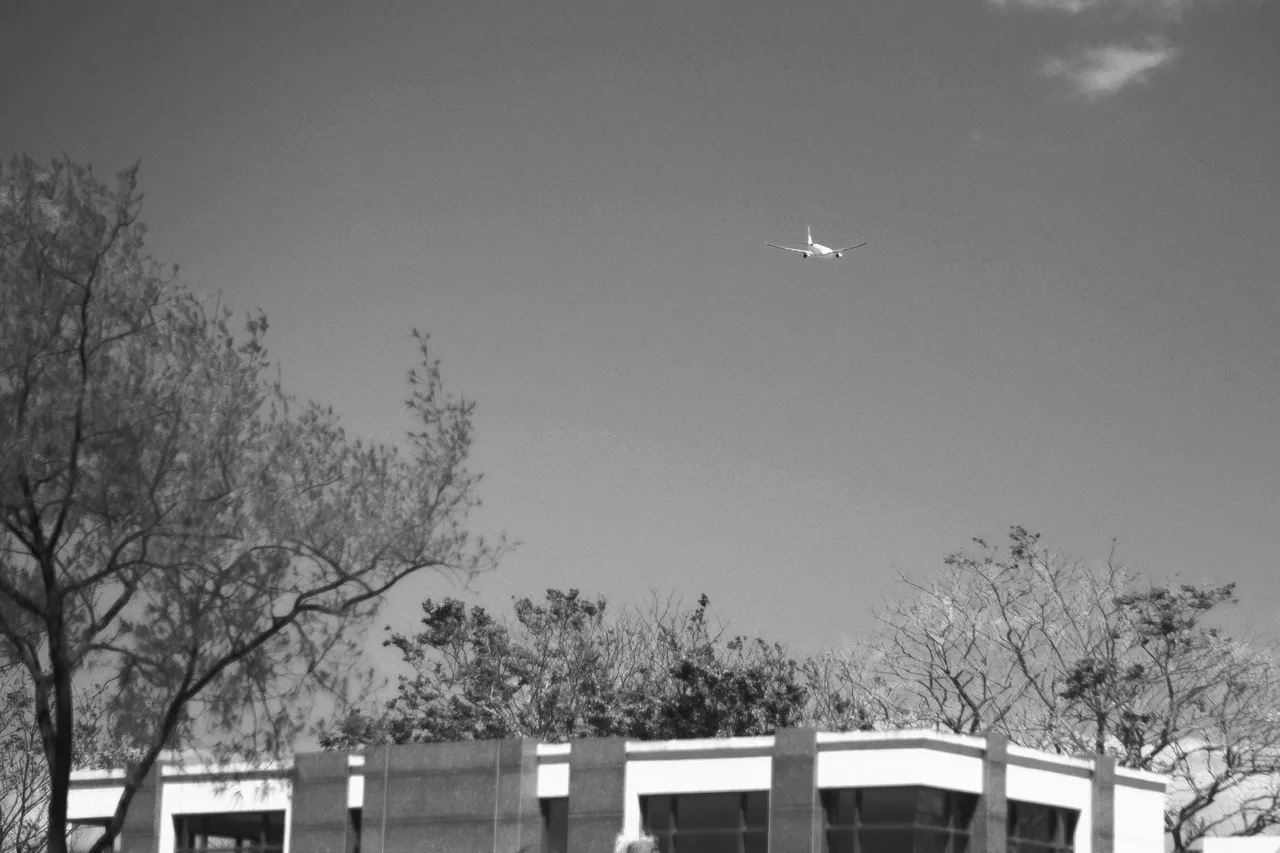 DSCF2972.JPG
